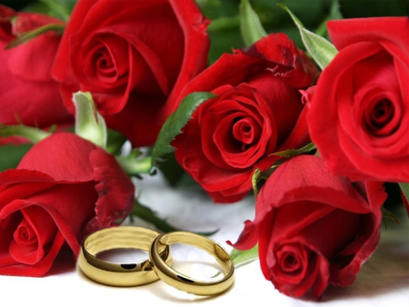 Wedding roses - red, ring, wedding, rose, love, flower