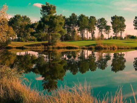 Lake trees - nature, lake, life, forest, tree, sunrise