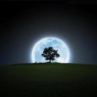 Magical moon