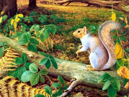 squirrels - 3d, squirrels, forest, animals