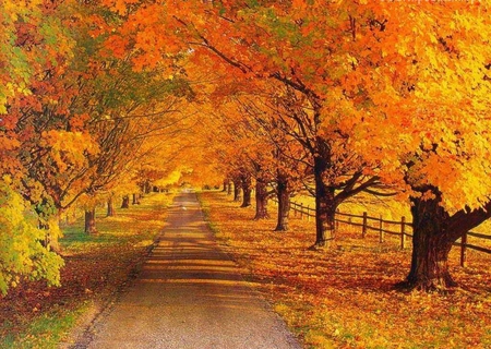 Autumn - nature, autumn, other, beautiful