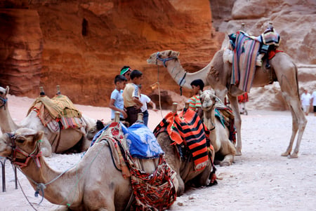 Petra le Khazneh - petra, khazneh, camels, le