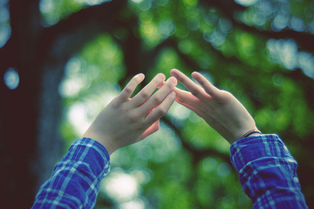 Reach - hands, trees, shirt, beautiful