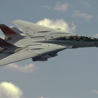 Grumman F-14 Tomcat