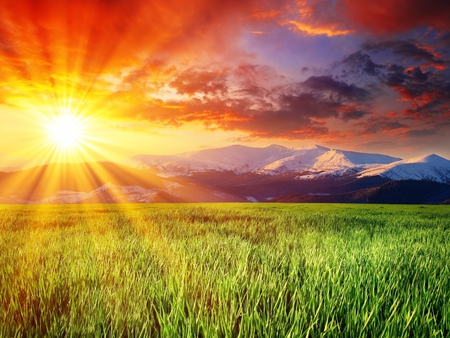 Sunset - sunrise, sun, sunshine, grass