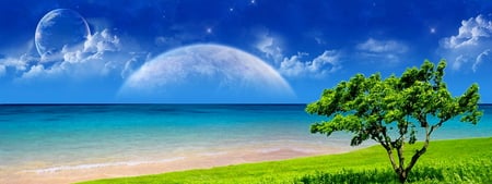 Widescreen nature - nature, ocean, beach, dream, tree, widescreen