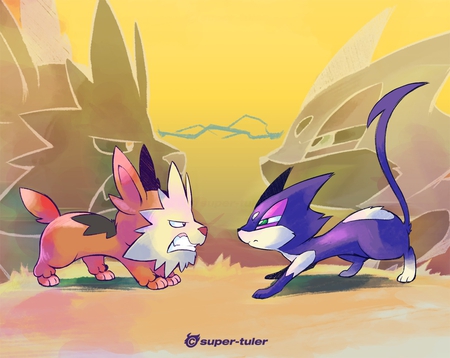 lilipup VS. purrloin - pokemon, cat, lilpup, dog