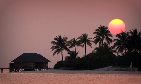 Splendor of our world-32 - beautiful, cottage, palm, sunset