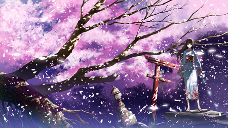 Tagme - anime, original, beautiful, katana blade, kimono girl, demale warrior, tagme, sakura tree, sakura petals, anime warrior, japanese