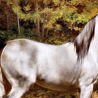 Grey Horse 1