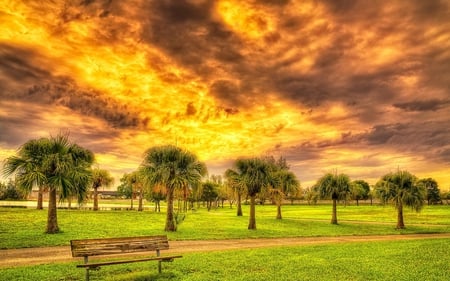 Beautiful Sky - alley, yellow, summer, amazing, splendor, landscape, grass, path, view, bench, sky, clouds, trees, beautiful, road, beauty, colors, lovely, tree, colorful, nature, green, peaceful, park