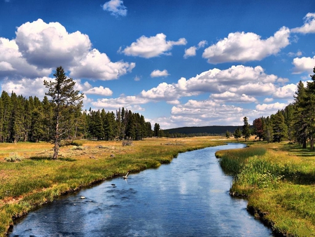 Grizzly-River - clouds, river, trees, nature, landscape, grass, reflection, sky