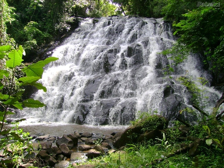 Waterfall - forest, nature, waterfall, green