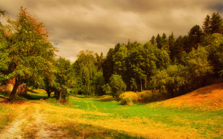 Landscape - forest, path, landscape, beautiful, leaves, grass, trees, nature, colors, green