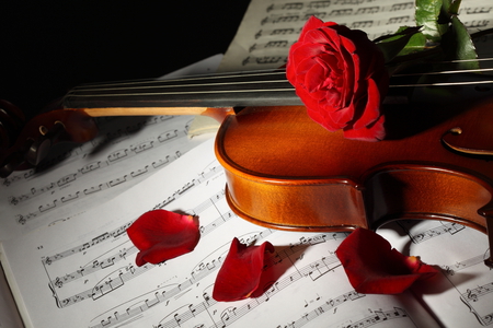 Rose - pretty, roses, red rose, romantic, violin, beautiful, petals, still life, flowers, nature, rose