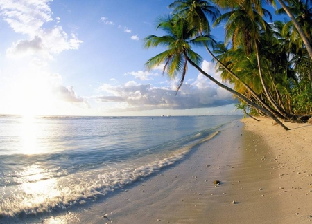 Beach - nature, beach, other, beautiful