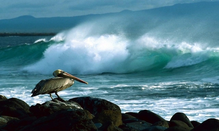 Beach - nature, beach, other, beautiful