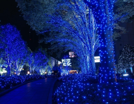 Blue tree - nature, tree, beautiful, other