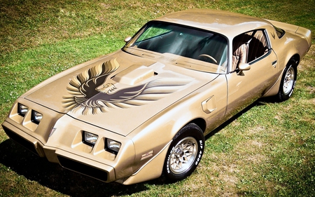 Pontiac Firebird - firebird, car, classic, pontiac, antique