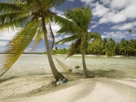 Hammoch - summer, palm, hammock, beach, girl