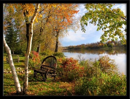 Peaceful Setting - sitting, lake, forest, peaceful