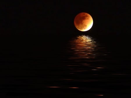 Golden moon - moon, water, magic, beautiful, gold, night, reflection, popular, nature, background, golden