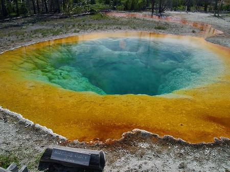 MORNING GLORY POOL - nature, water, yellowstone, parks