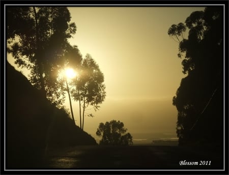 Sunrise - sunrise, travelling, moorreesburg, wheatlands