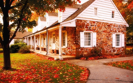 Autumn - fall, path, alley, beautiful, leaves, grass, house, tree, nature, colors, windows, autumn