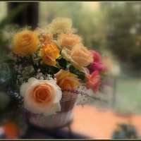 Roses Basket for All August Birthday*s