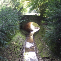 Zirc Arboretum (Hungary)