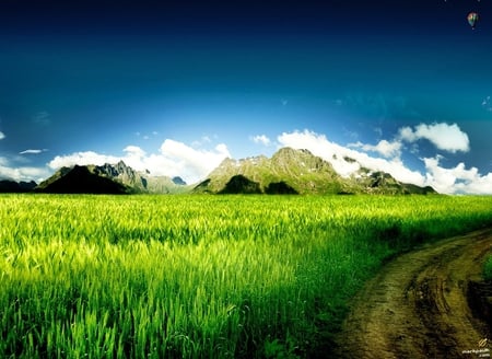 Gras - nature, gras, beautiful, other