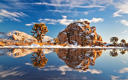 Reflection winter scene - clouds, pretty, palms, winter, rock, landscape, scene, sea, lovely, reflection, arizona, nature, peaceful