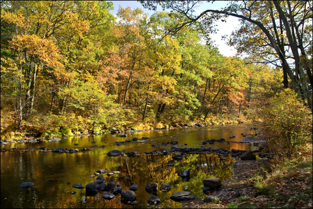 River - nature, rivers, forests, rocks