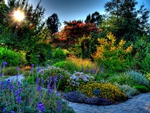 Beautiful garden