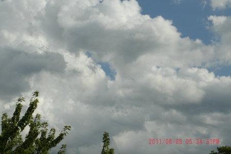 Thunderstorm Clouds - thunderstorm, sky, tree, clouds