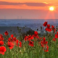 sunset