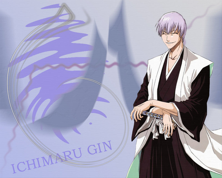 Gin Ichimaru - thirteen court guard squads, bleach, soul reaper, captain, ichimaru, gin