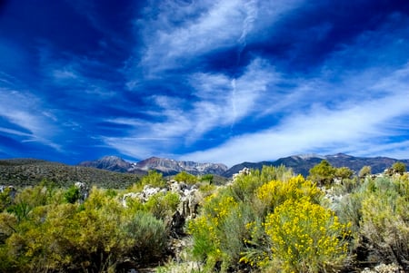 Big Sky - nature, sky, blue, big, image