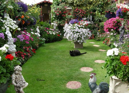 Cat Garden - flowers, garden, home, black cat