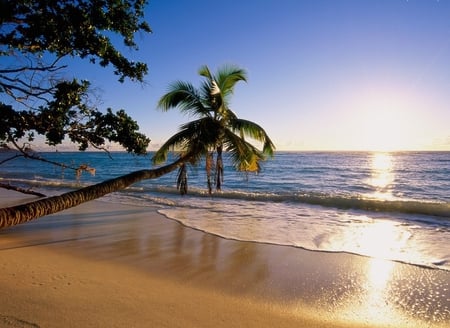 Beach - nature, beach, other, beautiful