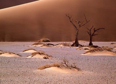 Africa - nature, deserts, beautiful, africa