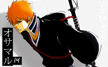 Sheath the sword - sword, fulbring, cool, kurosaki ichigo, shinigami, ichigo, anime, male, bleach, kurosaki, weapon