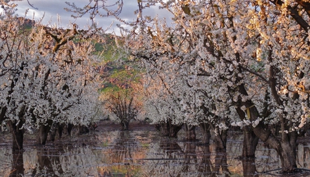 Spring - nature, other, spring, beautiful