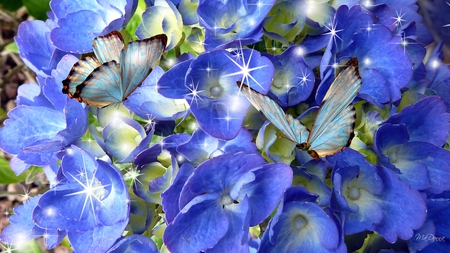 Blue Hydrangea Blue Butterflies - stars, hydrangea, summer, sparkle, purple, blue, flowers, firefox persona, butterflies, lavender