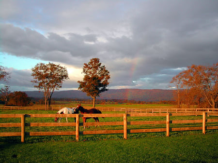 Sunset view - nature, horses, morning, rainbow, fence, clouds