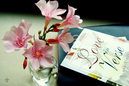 Love in Verse - book, pink, flowers, vase, love, still life, verse