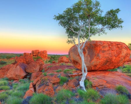 Devils Marbles Australia - rock, australia, grass, sky, boulder, orange, tree, canyons, nature, green