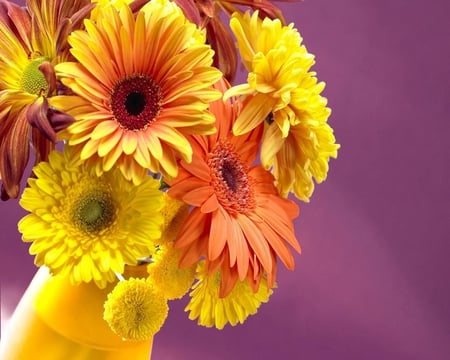 Bunch of Flowers - multi, bright, nature, yellow, petals, bunch, orange, colors, flowers