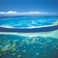 Grande Barriere de Corail
